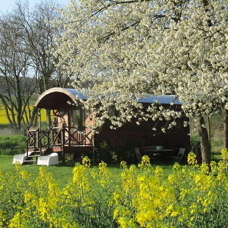Roulotte Panoramique Du Moulin Bed & Breakfast Chatillon-sur-Marne Bagian luar foto