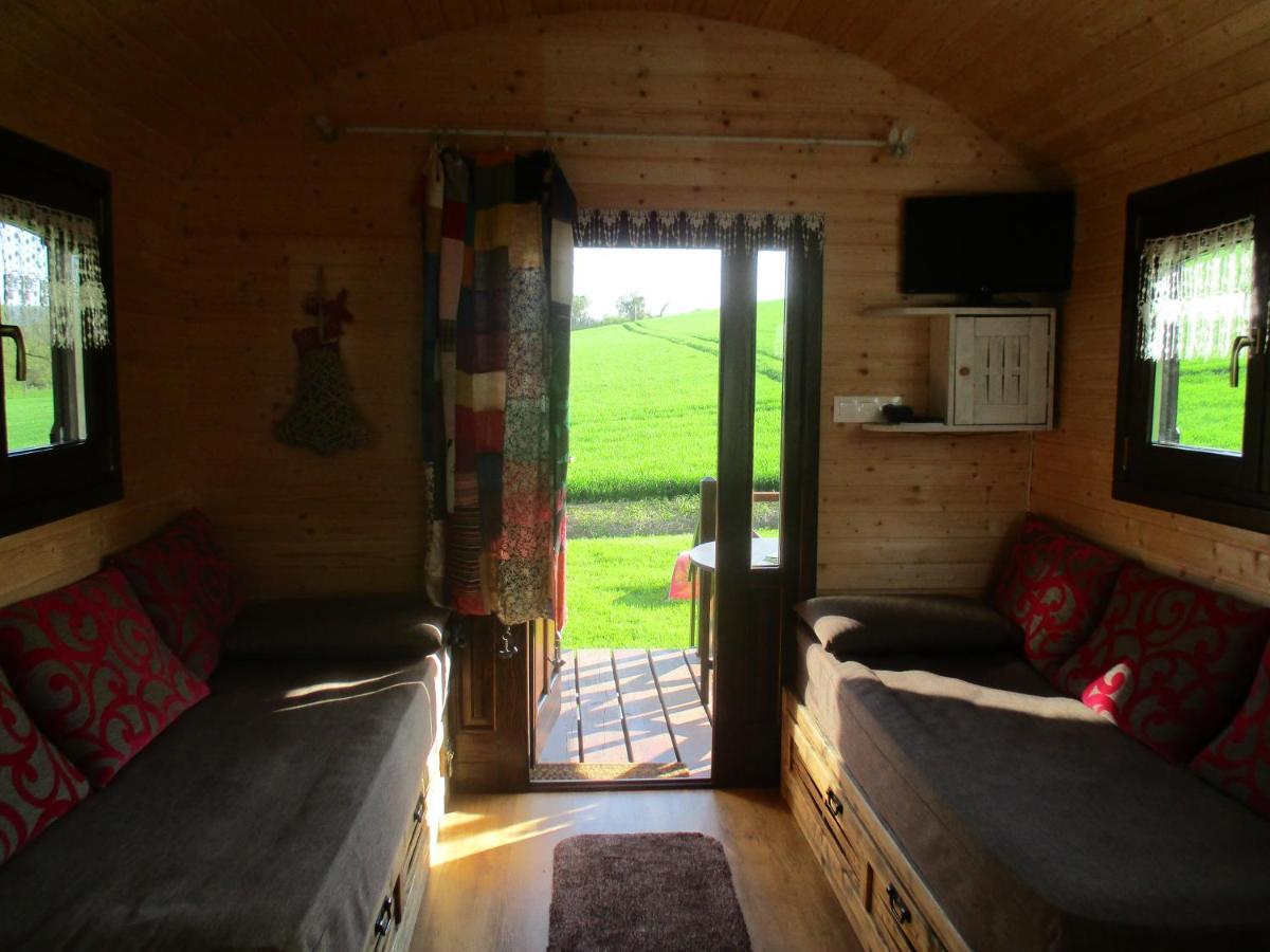 Roulotte Panoramique Du Moulin Bed & Breakfast Chatillon-sur-Marne Bagian luar foto
