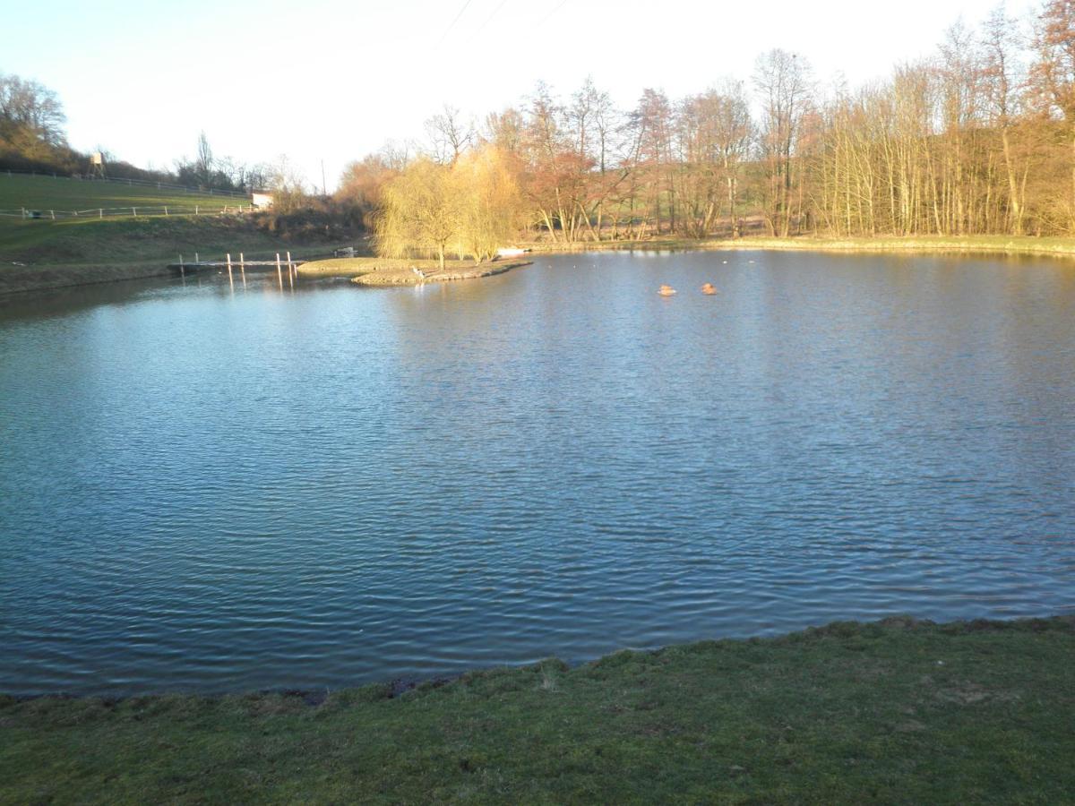 Roulotte Panoramique Du Moulin Bed & Breakfast Chatillon-sur-Marne Bagian luar foto