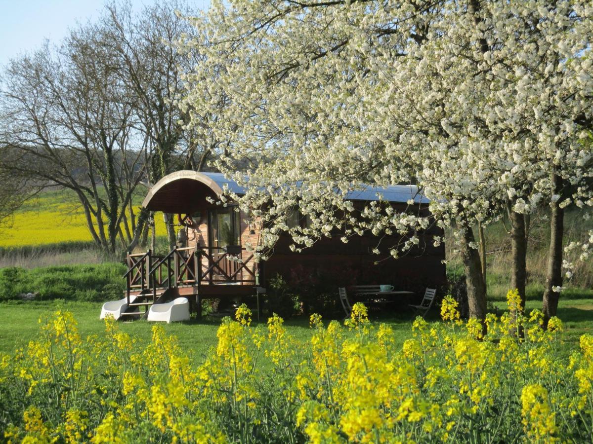 Roulotte Panoramique Du Moulin Bed & Breakfast Chatillon-sur-Marne Bagian luar foto